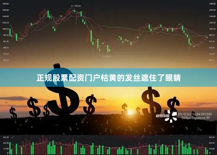 正规股票配资门户枯黄的发丝遮住了眼睛