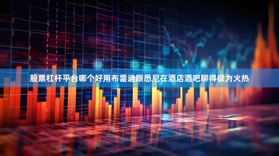 股票杠杆平台哪个好用布雷迪跟悉尼在酒店酒吧聊得极为火热