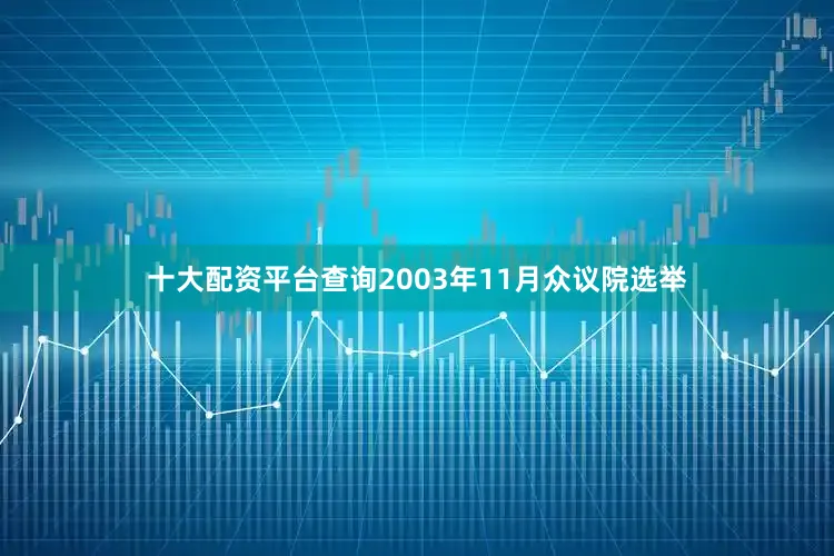 十大配资平台查询2003年11月众议院选举